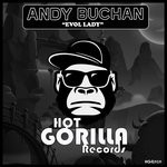 cover: Andy Buchan - Evol Lady