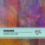 cover: Brandannon - Go With The Flow