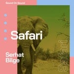 cover: Serhat Bilge - Safari