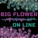 cover: Big Flower - On Line