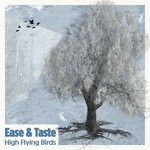 cover: Ease & Taste - High Flying Birds