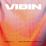 cover: Deniz Bul - VIBIN