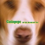 cover: Casiopepe - Floofy