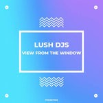 cover: Lush Djs - View From The Window