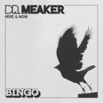 cover: Dr Meaker - Here & Now