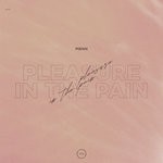 cover: Mbnn - Pleasure In The Pain