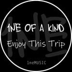 cover: 1ne Of A Kind - Enjoy This Trip