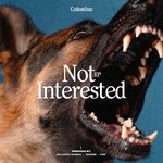 cover: Celestino - Not Interested