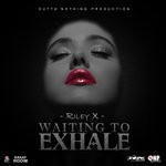 cover: Riley X - Waiting To Exhale