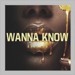 cover: Ribellu - Wanna Know