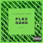 cover: Various - Flex Gang Vol 3