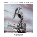 cover: Levi David - Colours In The Sky