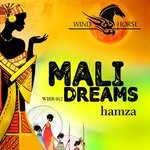 cover: Hamza - Mali Dreams