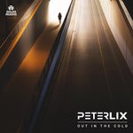 cover: Peter Lix - Out In The Cold