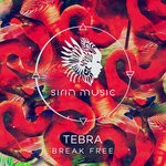 cover: Tebra - Break Free