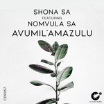 cover: Nomvula Sa - Avumil'Amazulu