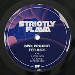 cover: Bwk Project - Feelings