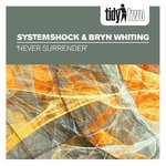 cover: Bryn Whiting|Systemshock - Never Surrender