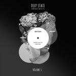 cover: Various - Deep State Vol 3