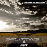 cover: Various - Splitting