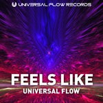 cover: Universal Flow - Feels Like