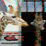 cover: Cherry Wine - Who's Foolin' Who