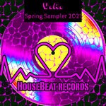 cover: Various - Spring Sampler 2021