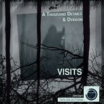 cover: A Thousand Details|Dykkon - Visits