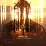 cover: Enviado Vida - Between Chapters