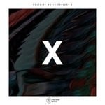 cover: Various - Voltaire Music Pres. X