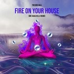 cover: Dre Guazzelli|Trevor Hall - Fire On Your House (Remix - Radio Version)