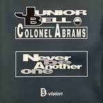 cover: Colonel Abrams - Never Be Another One