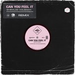 cover: Shiralee Coleman - Can You Feel It (DJ Fuel Extended Remix)