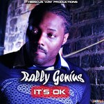 cover: Rally Genius - It's Ok