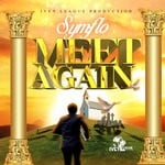 cover: Symflo - Meet Again