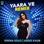 cover: Asees Kaur|Krsna Solo - Yaara Ve (Remix)