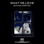 cover: Mary S.k. - What Is Love