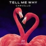 cover: Carvillo - Tell Me Why