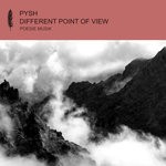 cover: Pysh - Different Point Of View