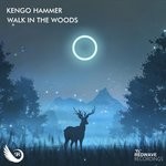 cover: Kengo Hammer - Walk In The Woods