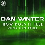 cover: Dan Winter - How Does It Feel (Chris Diver Remix)