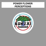 cover: Power Flower - Perceptions