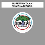 cover: Nurettin Colak - What Happened