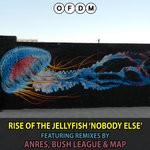 cover: Rise Of The Jellyfish - Nobody Else