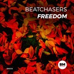 cover: Beatchasers - Freedom