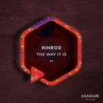 cover: Ninrod - The Way It Is EP