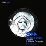 cover: Mikita|Zyski - Dream A Little Dream (Remixes)