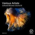 cover: Various - Collected Beauties Vol 5