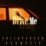 cover: Vanmusic - Drive Me Crazy