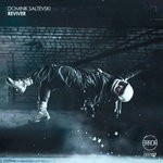 cover: Dominik Saltevski - Reviver